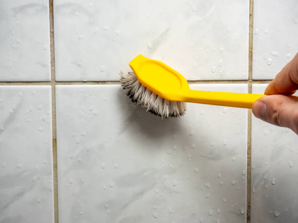 Best Home Mold Removal  in Darrington, WA