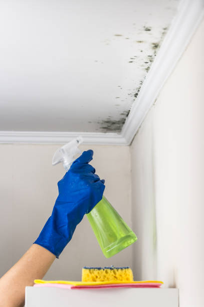 Best Crawl Space Mold Removal  in Darrington, WA